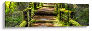 Obraz schodów w deszczowym pralesie (170x50 cm)