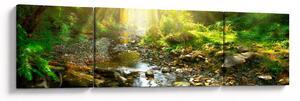 Obraz rzeki w zielonym lesie (170x50 cm)