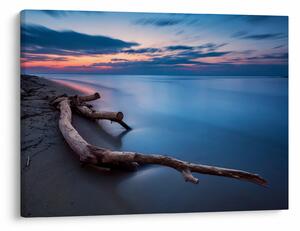 Obraz plaży o zachodzie słońca (70x50 cm)