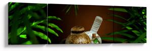 Obraz rzeczy spa (170x50 cm)