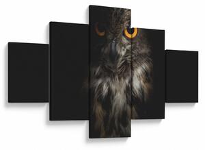 Obraz sowy (125x70 cm)