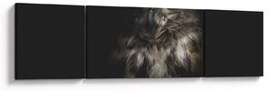 Obraz sowy (170x50 cm)