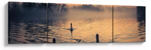 Obraz łabędzi na wodzie we mgle (170x50 cm)