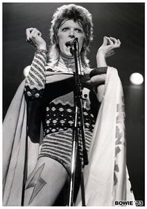 Plakat, Obraz David Bowie - Ziggy Stardust 1973, (59.4 x 84.1 cm)
