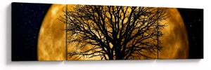 Obraz księżyca i sylwetki (170x50 cm)