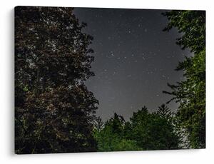 Obraz nocnego nieba (70x50 cm)