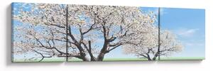 Obraz drzew (170x50 cm)