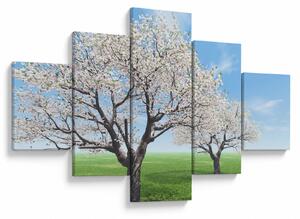 Obraz drzew (125x70 cm)