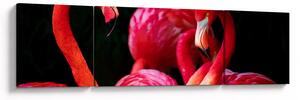 Obraz czerwonych flamingów (170x50 cm)