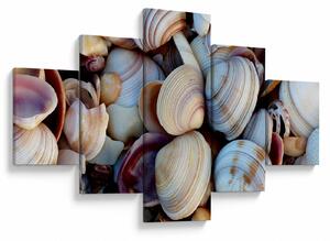 Obraz muszelek (125x70 cm)