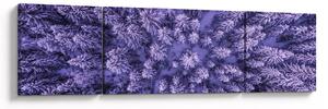 Obraz ośnieżonych drzew (170x50 cm)