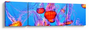 Obraz meduz w morzu (170x50 cm)