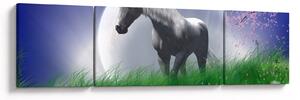 Obraz jednorożca (170x50 cm)