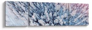 Obraz ośnieżonych drzew (170x50 cm)