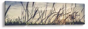 Obraz kwiatów łąkowych (170x50 cm)