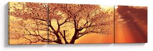 Obraz promieni Boga (170x50 cm)