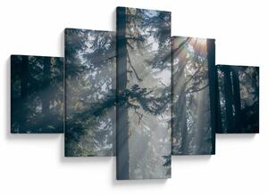 Obraz drzew, przez które prześwieca słońce (125x70 cm)