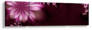 Obraz abstrakcji - kwiaty (170x50 cm)