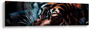 Obraz leżącego tygrysa (170x50 cm)