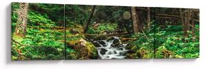 Obraz strumienia w lesie (170x50 cm)