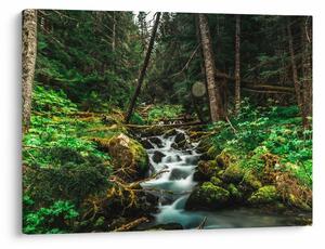Obraz strumienia w lesie (70x50 cm)