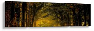 Obraz lasu (170x50 cm)