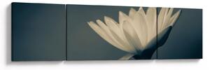 Obraz kwiatu (170x50 cm)