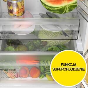 Lodówka BOSCH KGN362LDF No Frost 186cm Inox