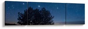 Obraz drzew w nocy (170x50 cm)