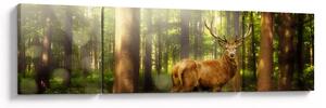 Obraz jelenia w lesie (170x50 cm)