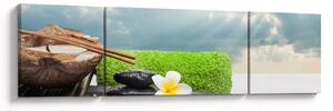 Obraz - Spa and relakx (170x50 cm)