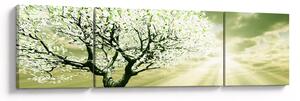 Obraz drzewa na łące (170x50 cm)