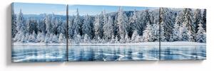 Obraz zamarzniętego jeziora i pokrytych śniegiem drzew (170x50 cm)