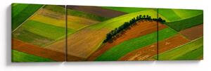 Obraz - Pola, łąki (170x50 cm)