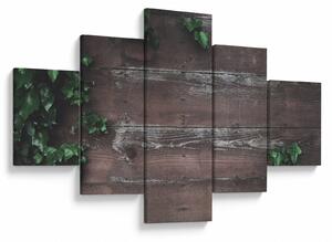 Obraz - Bluszcz (125x70 cm)