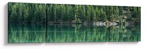 Obraz - drzewa iglaste nad jeziorem (170x50 cm)