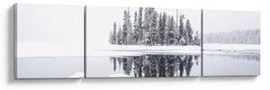 Obraz - Było biało (170x50 cm)
