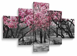 Obraz drzew magnolii (125x70 cm)