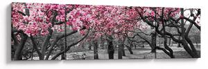 Obraz drzew magnolii (170x50 cm)