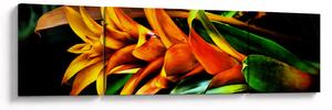 Obraz pomarańczowego kwiatu (170x50 cm)