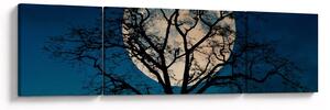 Obraz drzewa z pełnią księżyca (170x50 cm)
