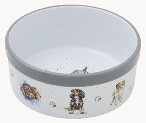 Miska dla psa Pet