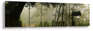 Obraz porannej mgły (170x50 cm)
