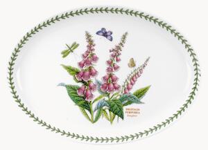 Owalny półmisek Foxglove