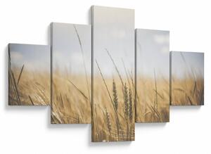Obraz ziarna (125x70 cm)