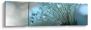 Obraz - Dmuchawiec - nafta (170x50 cm)