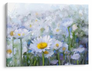 Obraz - W stokrotkach (70x50 cm)