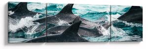 Obraz - Delfiny w oceanie (170x50 cm)