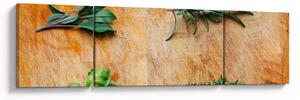 Obraz - Zioła (170x50 cm)