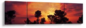 Obraz zachodu słońca (170x50 cm)